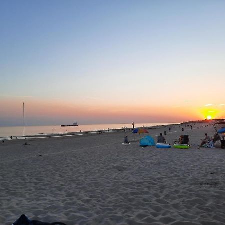 Vila Slapen Op Het Nieuwe Land Zoutelande Exteriér fotografie